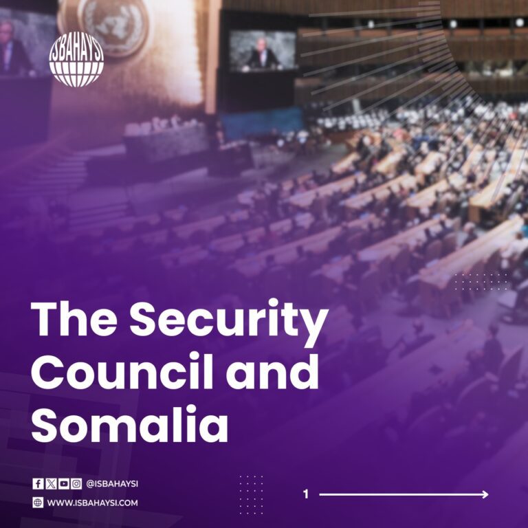 THE SECURITY COUNCIL AND SOMALIA