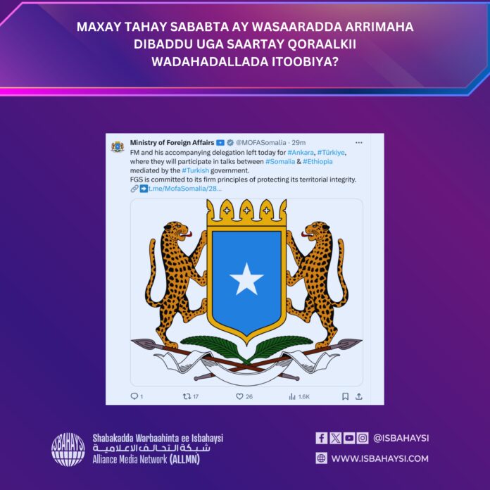 MAXAY TAHAY SABABTA AY WASAARADDA ARRIMAHA DIBADDU UGA SAARTAY QORAALKII WADAHADALLADA ITOOBIYA?