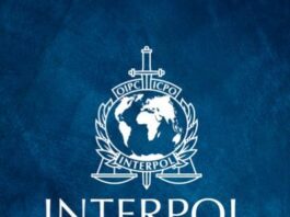 INTERPOL Extradites Fugitive Murder Suspect to Garowe