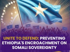 Unite to Defend: Preventing Ethiopia's Encroachment on Somali Sovereignty