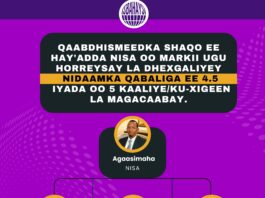 Hay’adda Nisa Oo Si Ba’an Cagaha Loogu Geliyey Hannaankii Qabaa’ilka Ee 4.5
